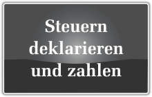Steuern deklarieren und zahlen
